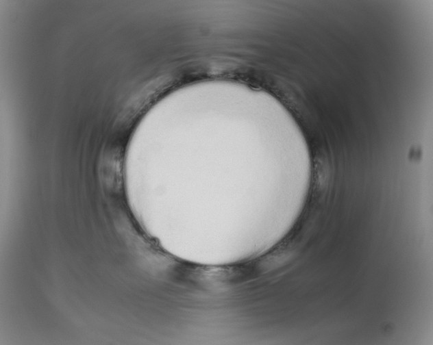 X0000112510527200909141202