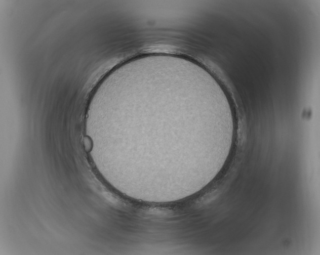 X0000112510529200909141202