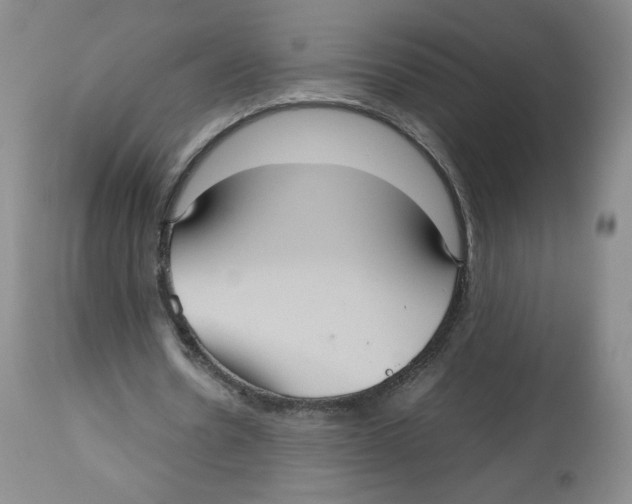 X0000112510530200909141202