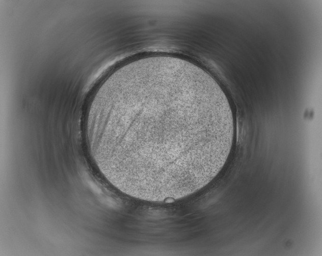 X0000112510531200909141202