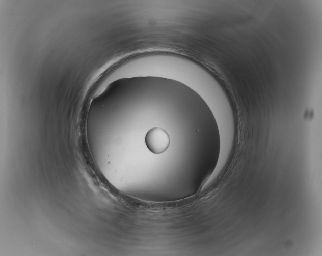 X0000112510532200909141202