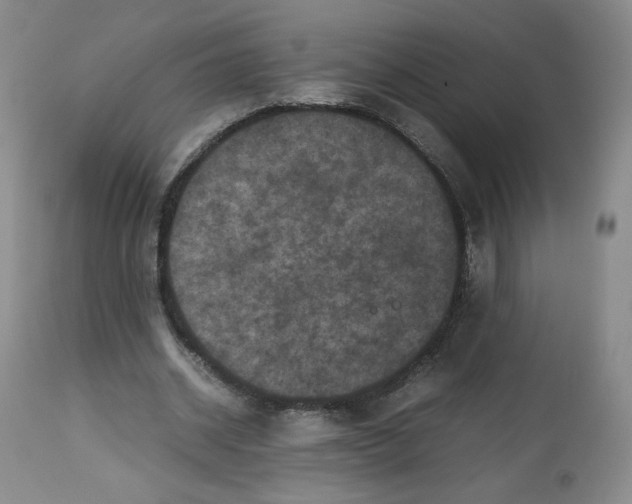 X0000112510534200909141202