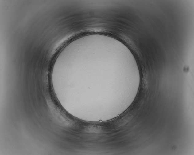 X0000112510535200909141202