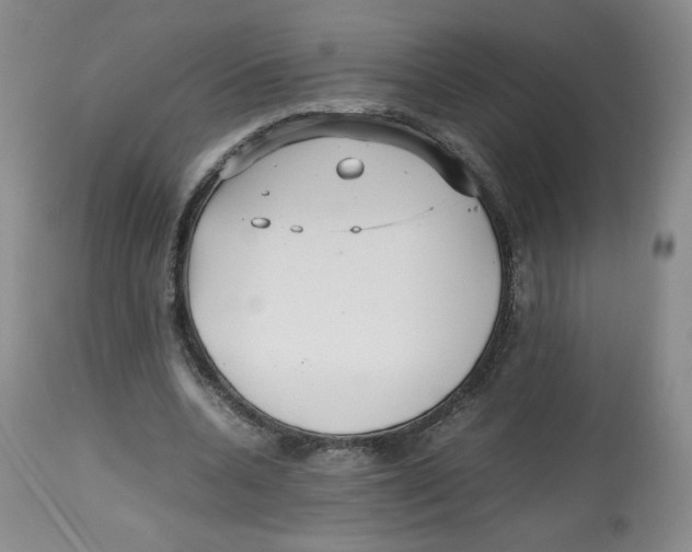 X0000112510536200909141202