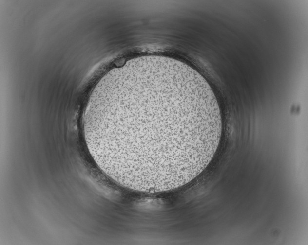 X0000112510543200909141202