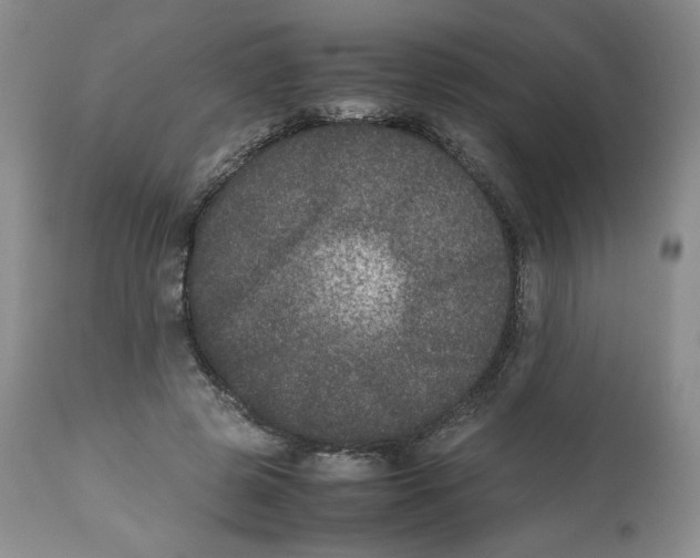 X0000112510545200909141202