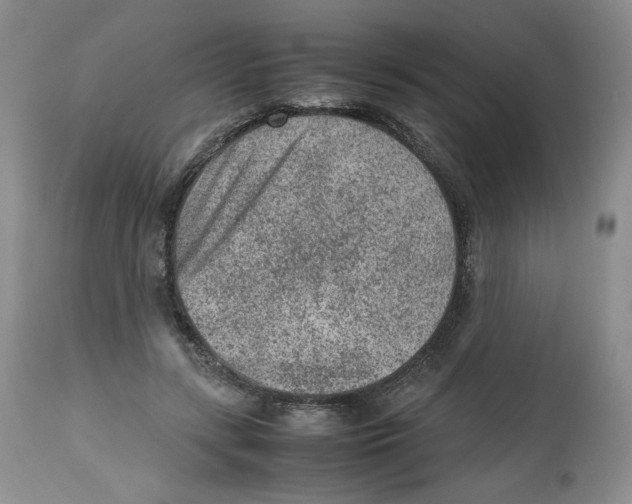 X0000112510547200909141202