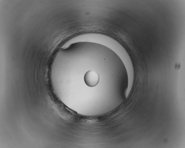 X0000112510548200909141202