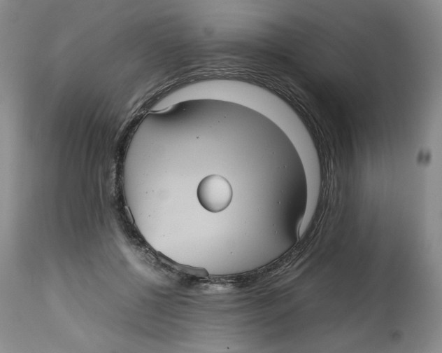 X0000112510552200909141202