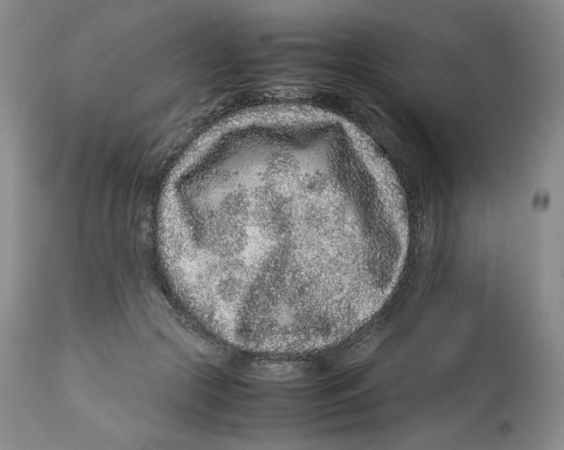 X0000112510553200909141202