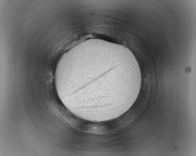 X0000112510555200909141202