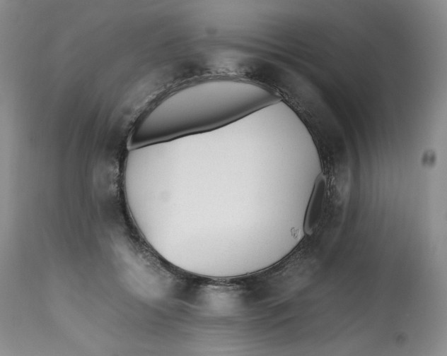 X0000112510556200909141202