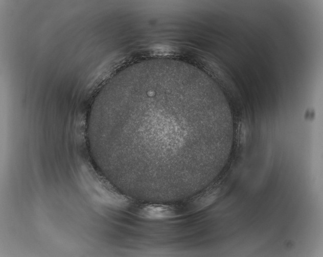 X0000112510557200909141202