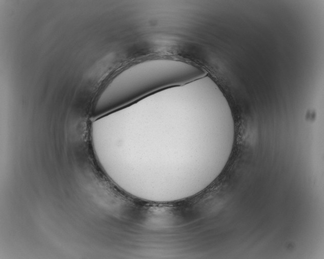 X0000112510560200909141202