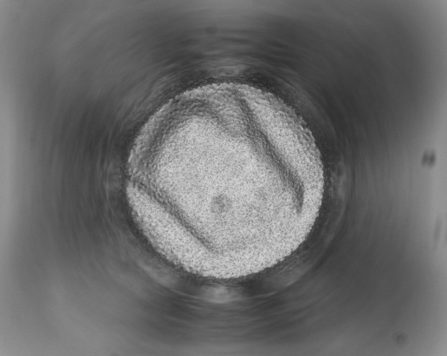 X0000112510561200909141202