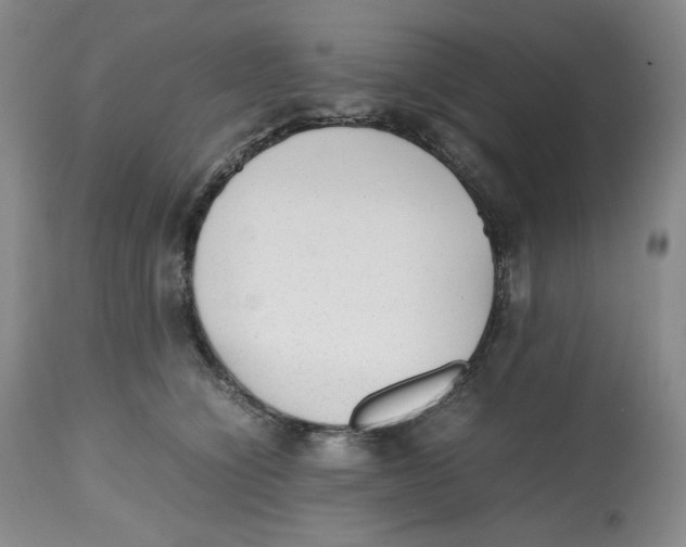 X0000112510564200909141202