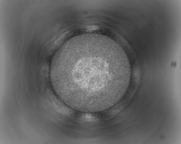 X0000112510565200909141202