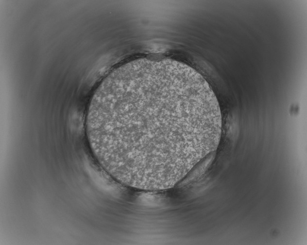 X0000112510568200909141202