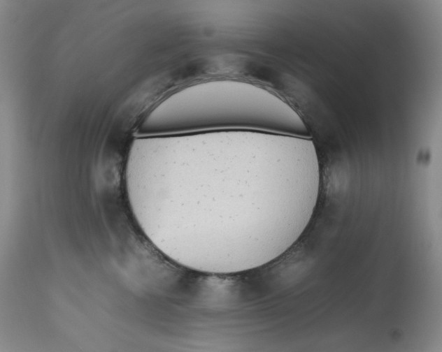 X0000112510570200909141202