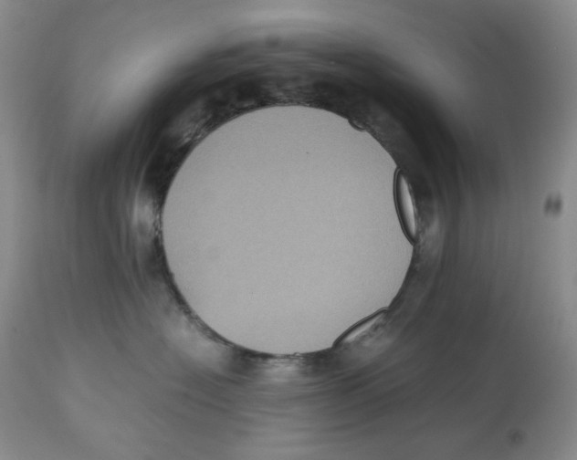 X0000112510574200909141202