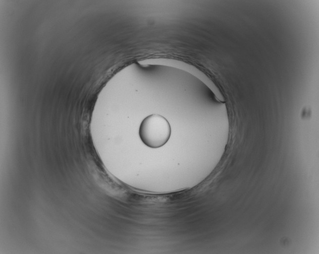 X0000112510576200909141202