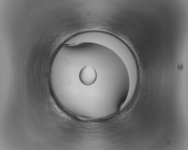 X0000112510577200909141202