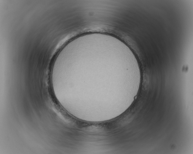 X0000112510578200909141202