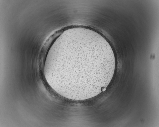 X0000112510580200909141202