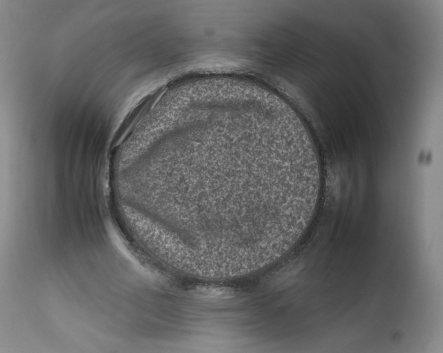 X0000112510582200909141202