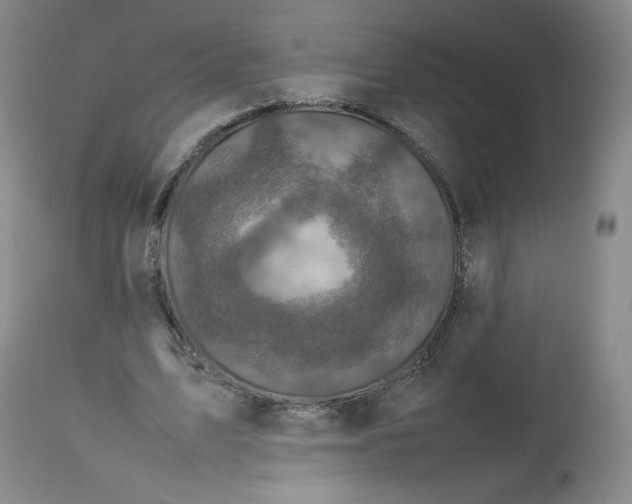 X0000112510583200909141201