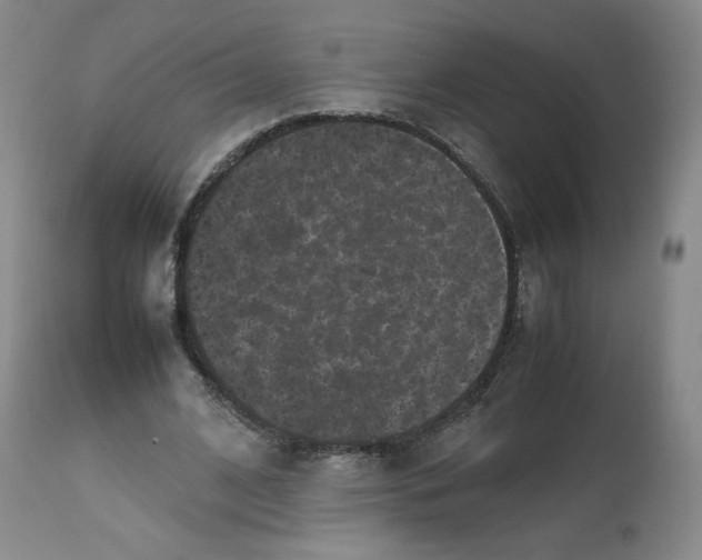 X0000112510584200909141201