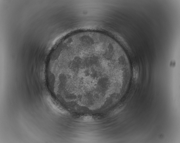 X0000112510588200909141201