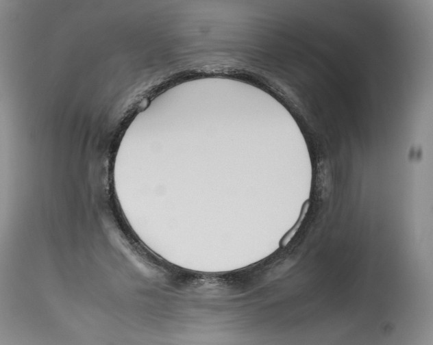 X0000112510589200909141201