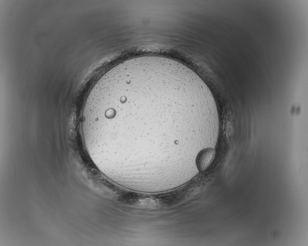 X0000112510591200909141201