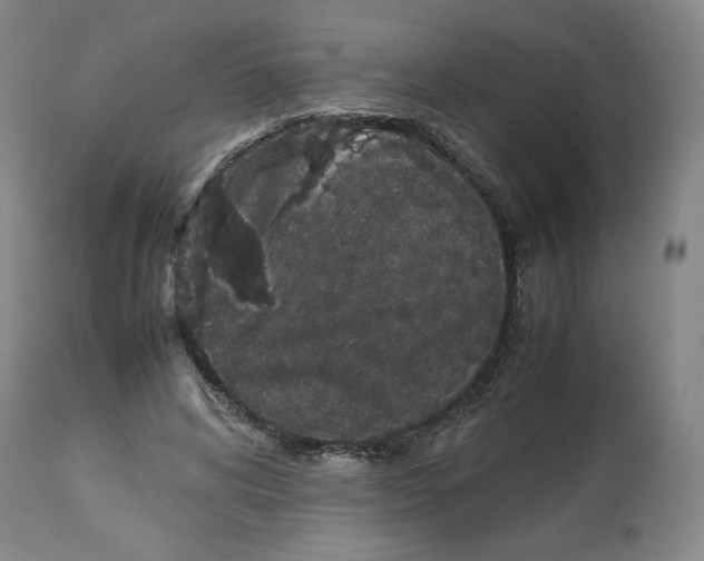 X0000112510592200909141201