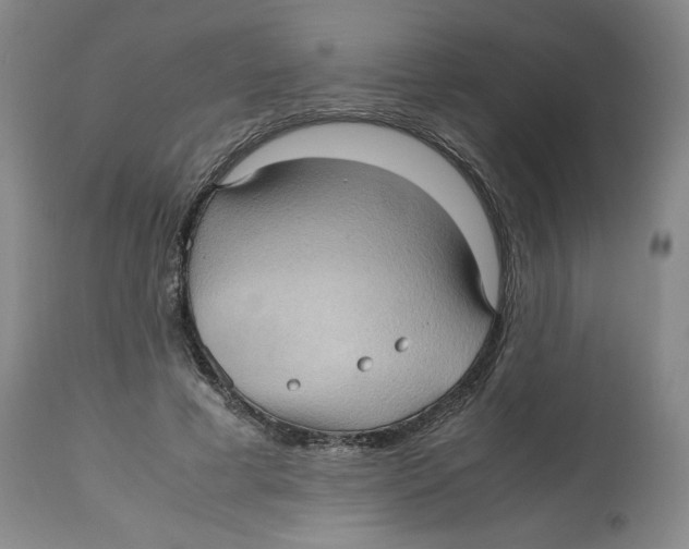 X0000112510593200909141201