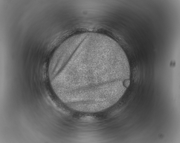 X0000112510594200909141201