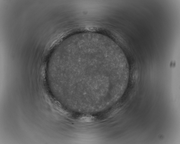 X0000112510595200909141201