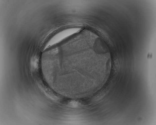 X0000112510596200909141201