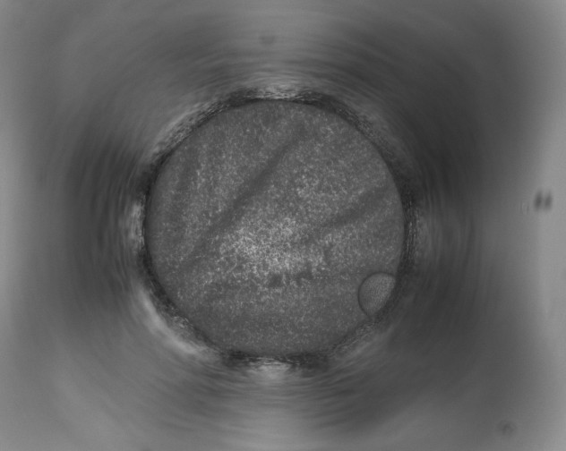 X0000112510598200909141201