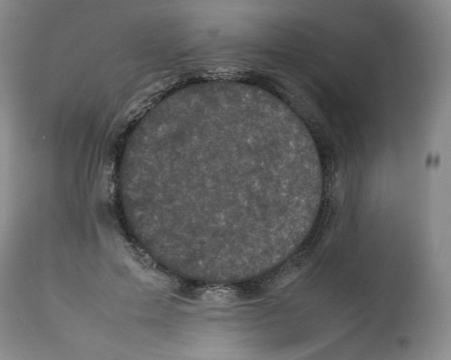 X0000112510599200909141201