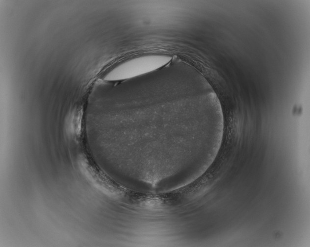 X0000112510600200909141201