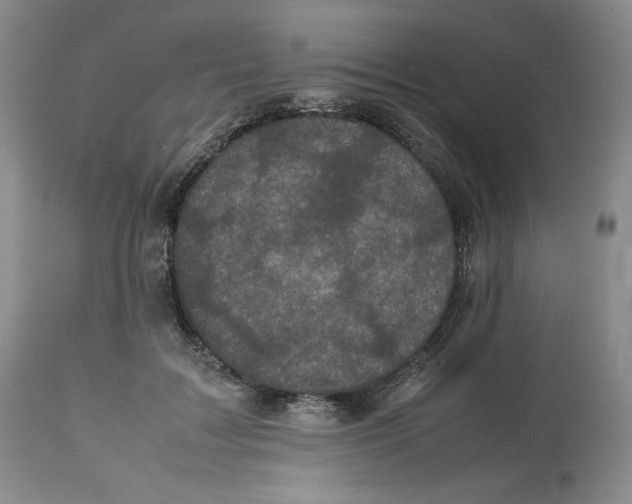 X0000112510603200909141201