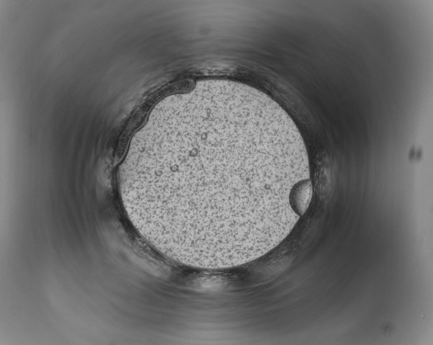 X0000112510604200909141201