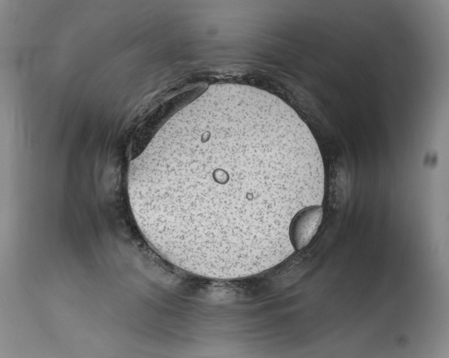 X0000112510608200909141201