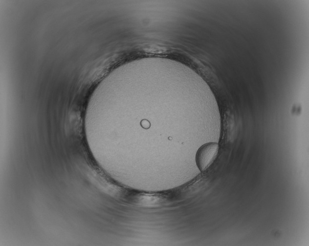 X0000112510614200909141201