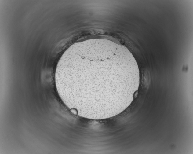 X0000112510616200909141201