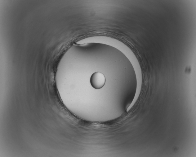 X0000112510617200909141201