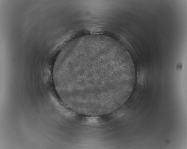 X0000112510618200909141201