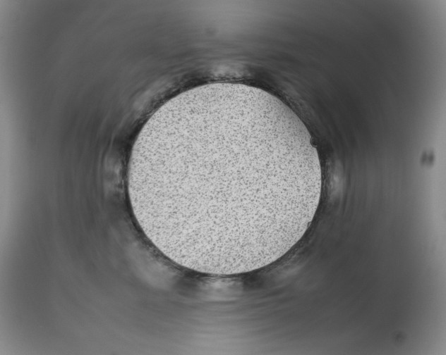 X0000112510619200909141201